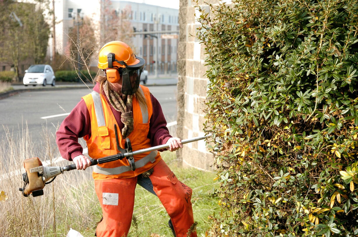 Stacey Wills, a grounds maintenance worker for the city of Vancouver, prunes shrubs in November 2014 on East Mill Plain.