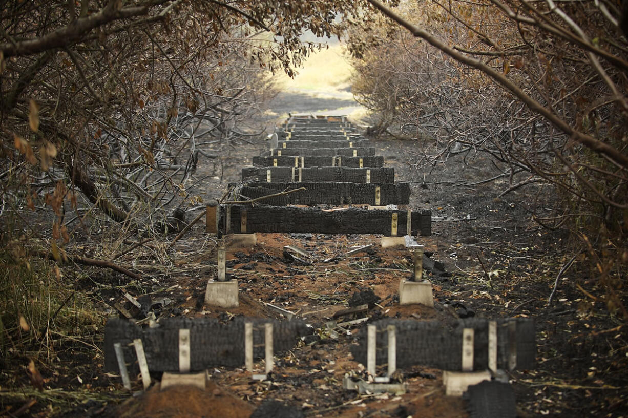 Little remains of a section of the popular Gibbons Creek Wildlife Trail that passes through a seasonal wetland in the Steigerwald Lake National Wildlife Refuge.