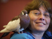 Joy Murphy, of Grants Pass, Ore., looks over at her Russian startail tumbler, &quot;Jasper,&quot; during National Pigeon Association 2013 Grand National Show.