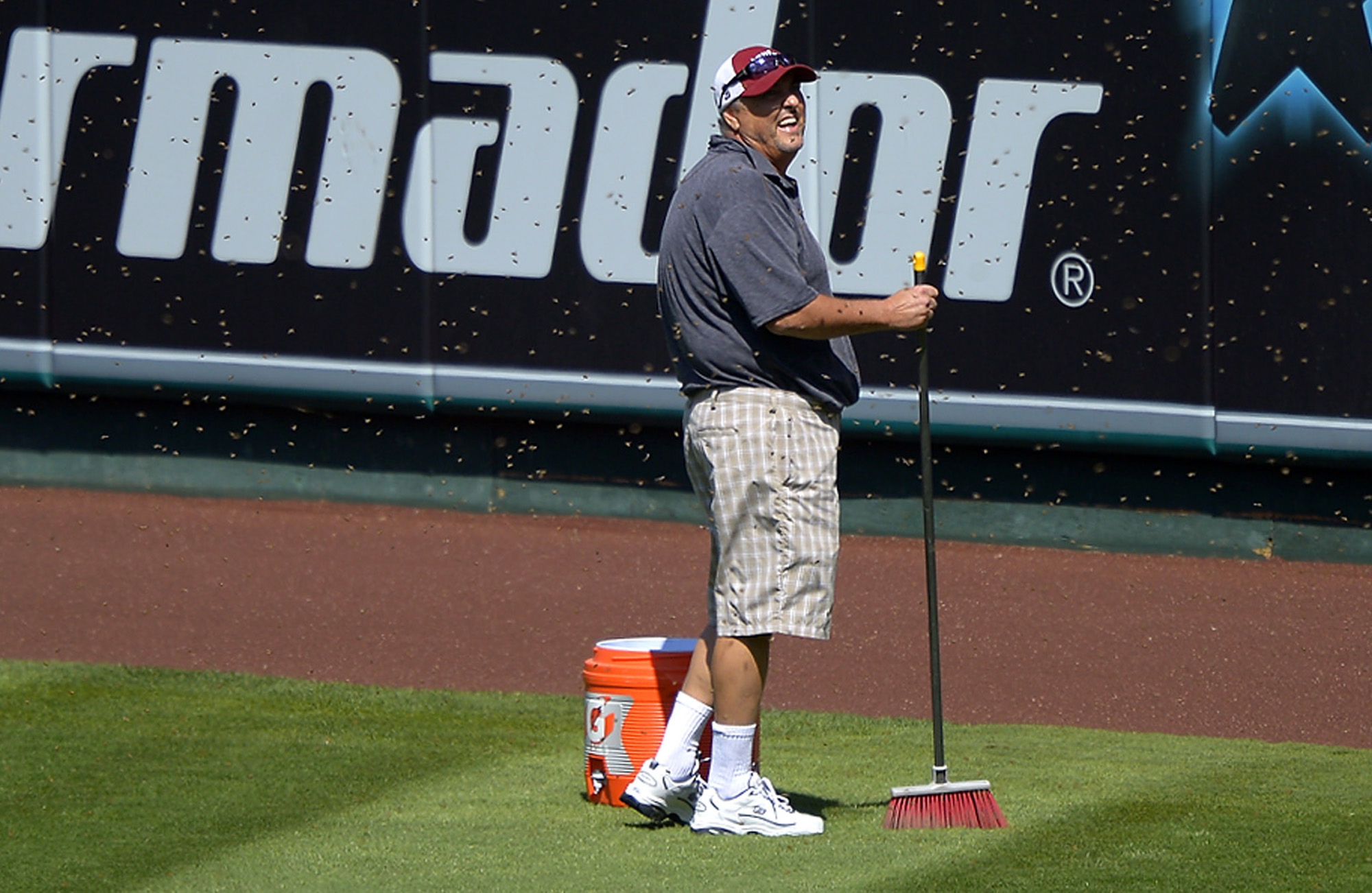 Apiarist John Potom, of Honey Pacifica, deals with a swarm of bees that held up a baseball game between the Los Angeles Angels and the Seattle Mariners for several minutes during the third inning on Sunday.