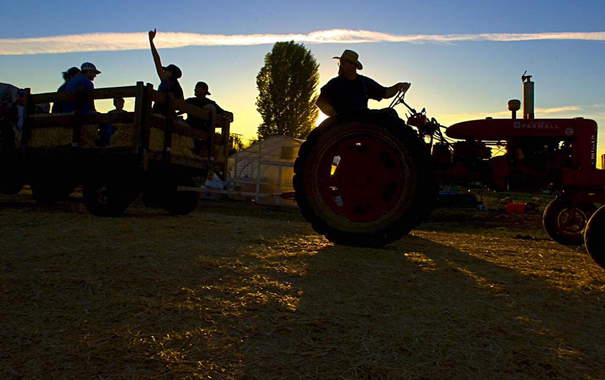 The Columbian files
Hayrides are part of the Pumpkin Patch and Harvest Festival at Bi-Zi Farms in Vancouver.