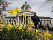 The Legislative Building at the Capitol in Olympia, Wash., is shown through as daffodils bloom, Tuesday, April 10, 2012.