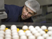 Greg Satrum, co-owner of Willamette Egg Farms in Canby, Ore. inspects the production line.