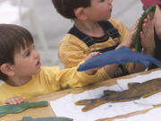 Explore Columbia Springs Environmental Education Center during Family Field Trip Day from 10 a.m. to 2 p.m.