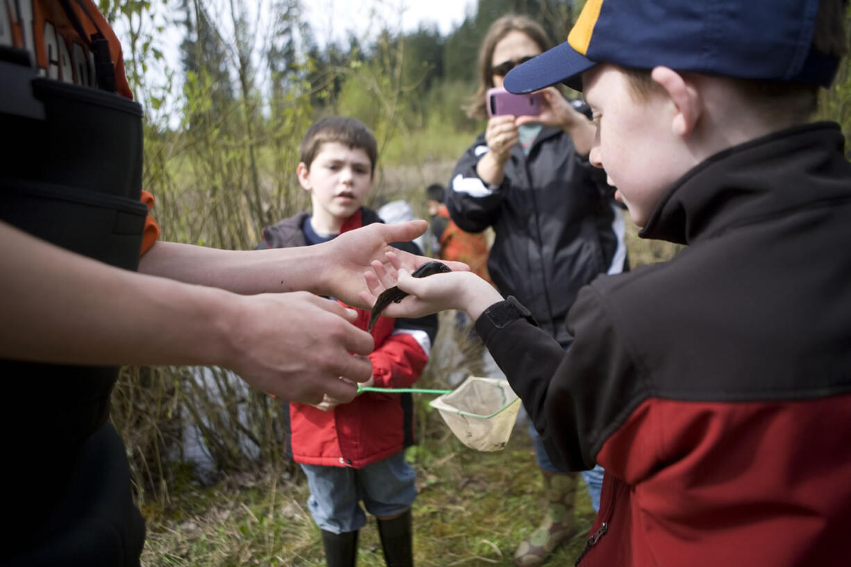 See snakes, lizards and amphibians close up with Creature Feature live shows at the Water Education Resource Center