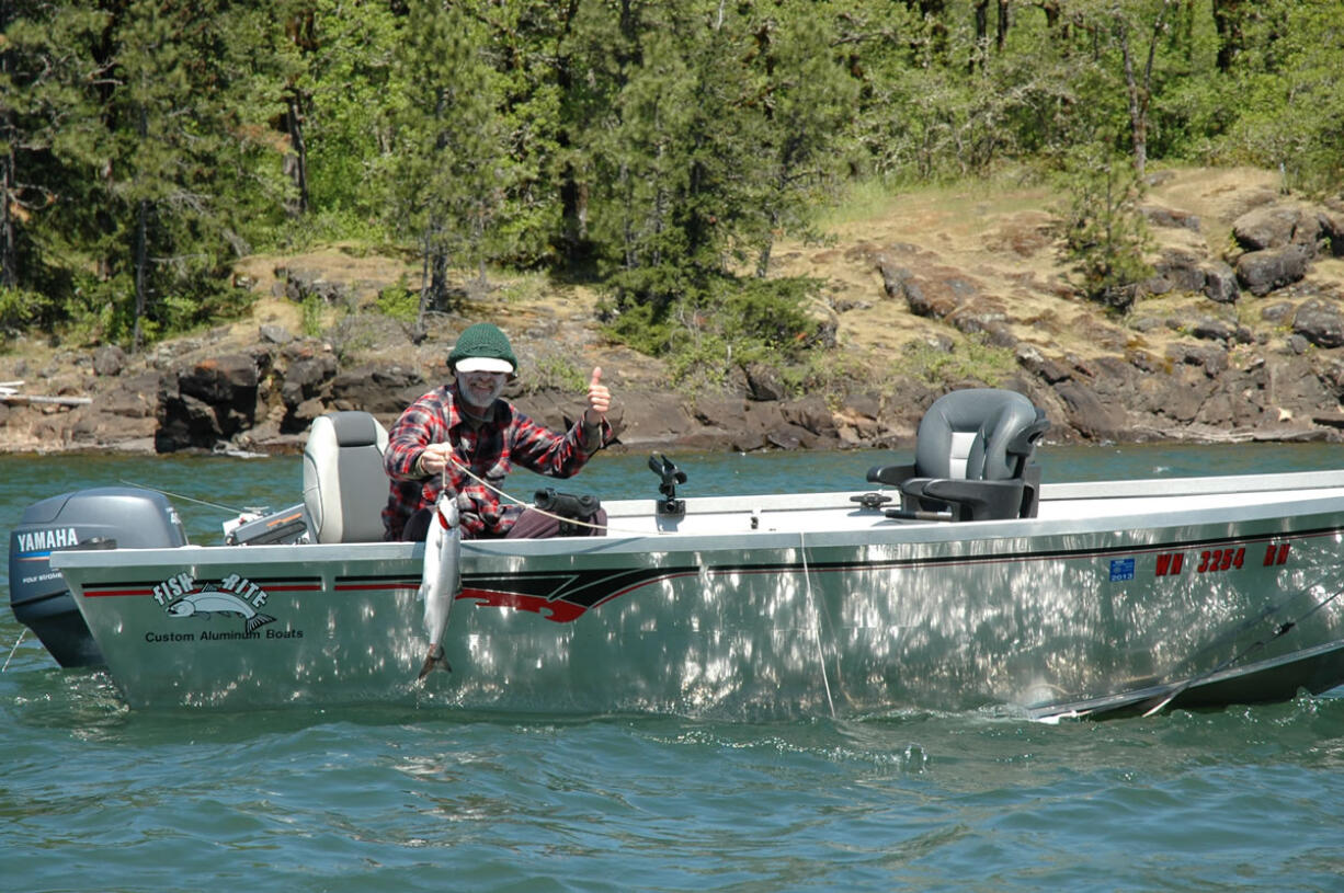 Anglers at the mouth of the Wind River are catching lots of jack spring chinook salmon. Through Sunday, there have been an estimated 3,147 boat trips at the Wind with a catch of 512 adult chinook kept, four adult chinook released, 103 jack chinook kept and 23 jacks released. Based on tagged adults detected at Bonneville Dam, the chinook run to the Wind appears to be on track for a return of about 3,000 salmon.