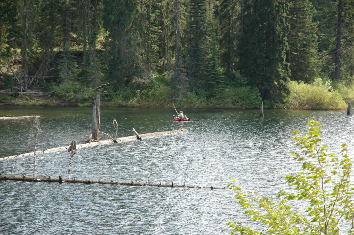 Ed Woodruff of Vancouver casts for trout at Goose Lake in the Gifford Pinchot National Forest.