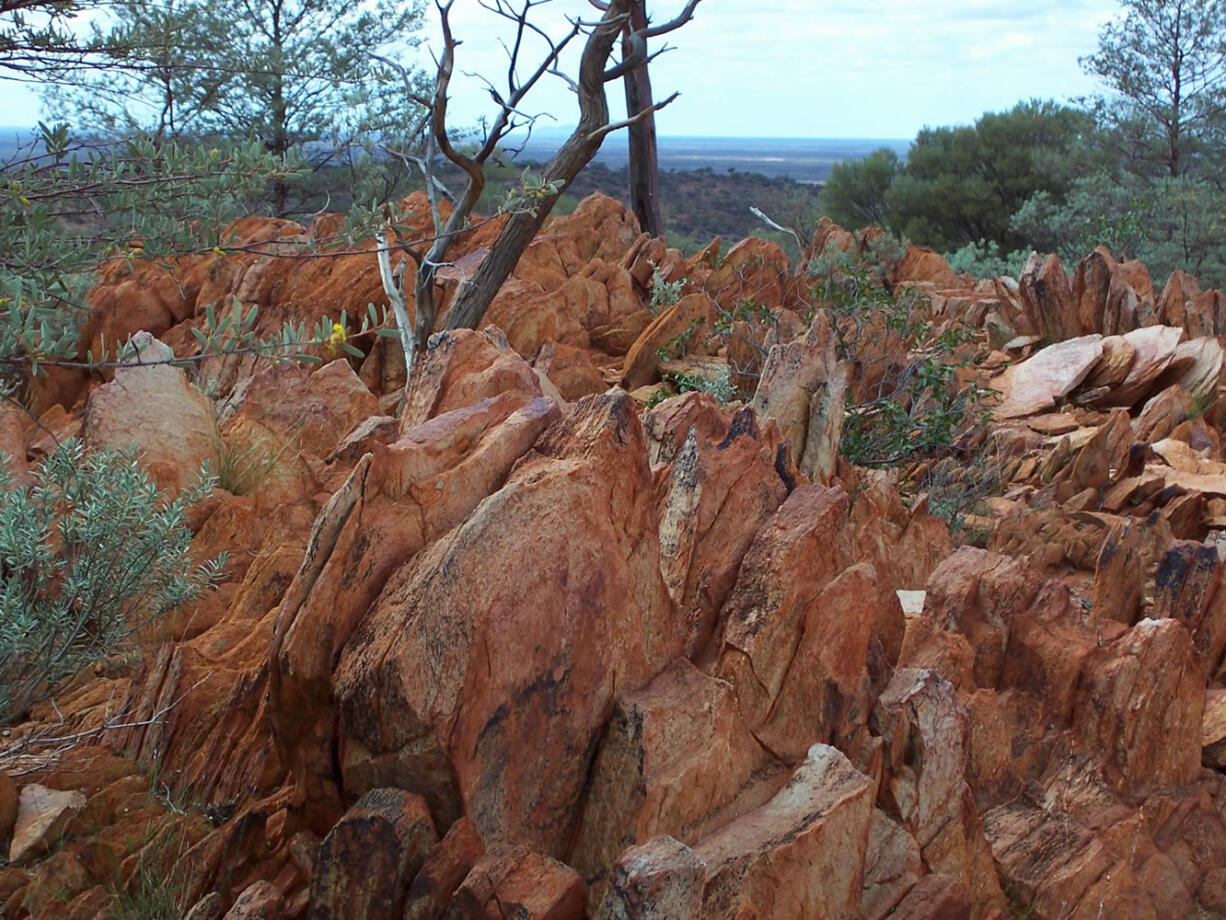 Life may have existed on a near-primordial Earth -- around 4.1 billion years ago, 300 million years earlier than thought -- hints a chemical deposit found in an Australian rock.