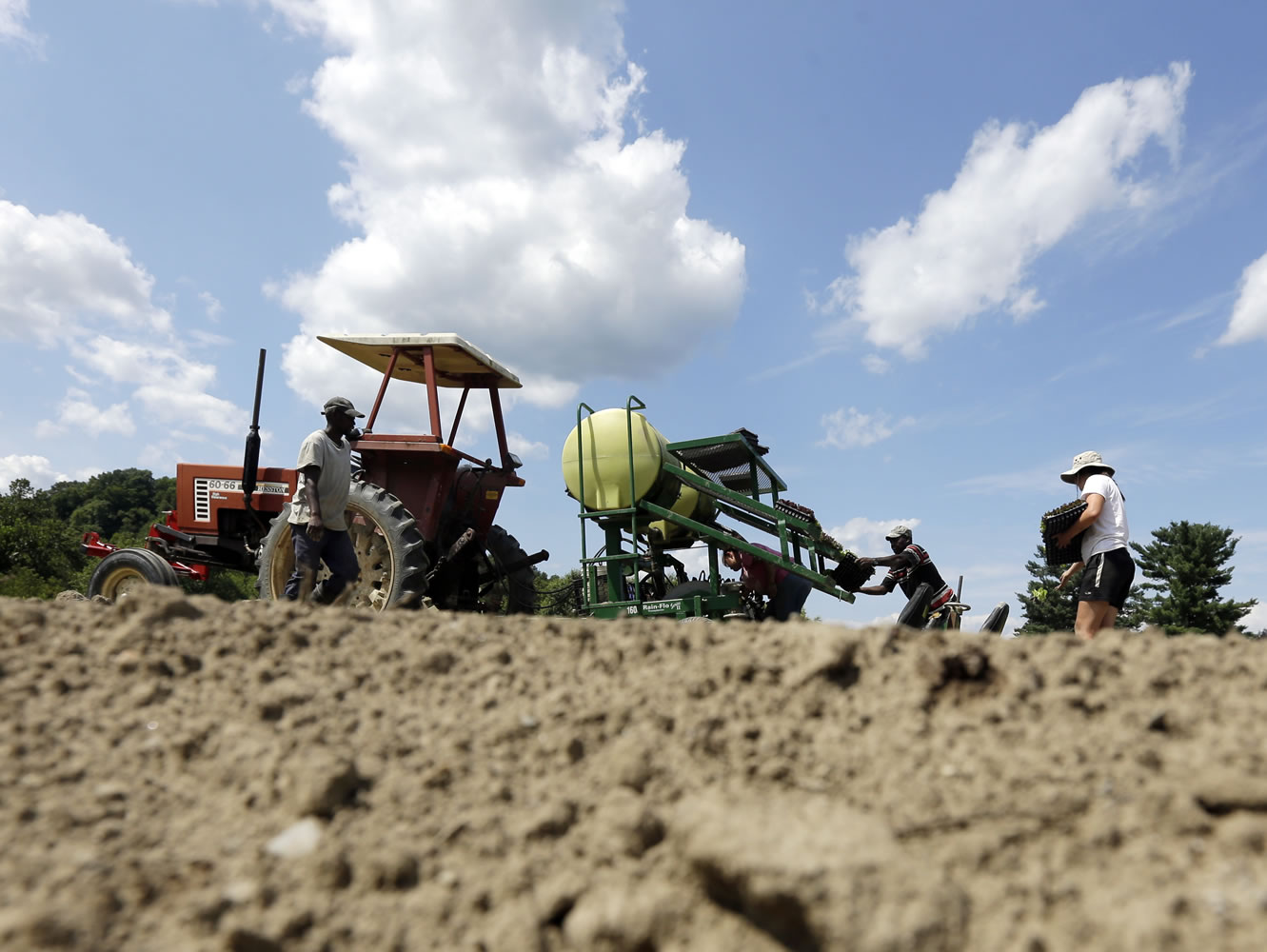 Workers transplant lettuce in a field at Denison Farm on Monday, Aug. 12, 2013, in Schaghticoke, N.Y. Participants in the Certified Naturally Grown program must adhere to organic principles such as avoiding synthetic chemicals. Proponents say the program lets them promote their commitment to sustainable agriculture without the cost and extensive paperwork of the USDA program.