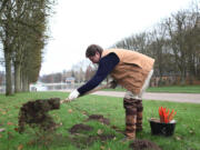 Molecatcher Jerome Dormion uses a shovel in the park of the Chateau de Versailles, west of Paris.