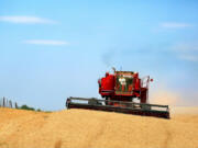 A combine harvests wheat in July along the Oregon-Washington border, southwest of Walla Walla.