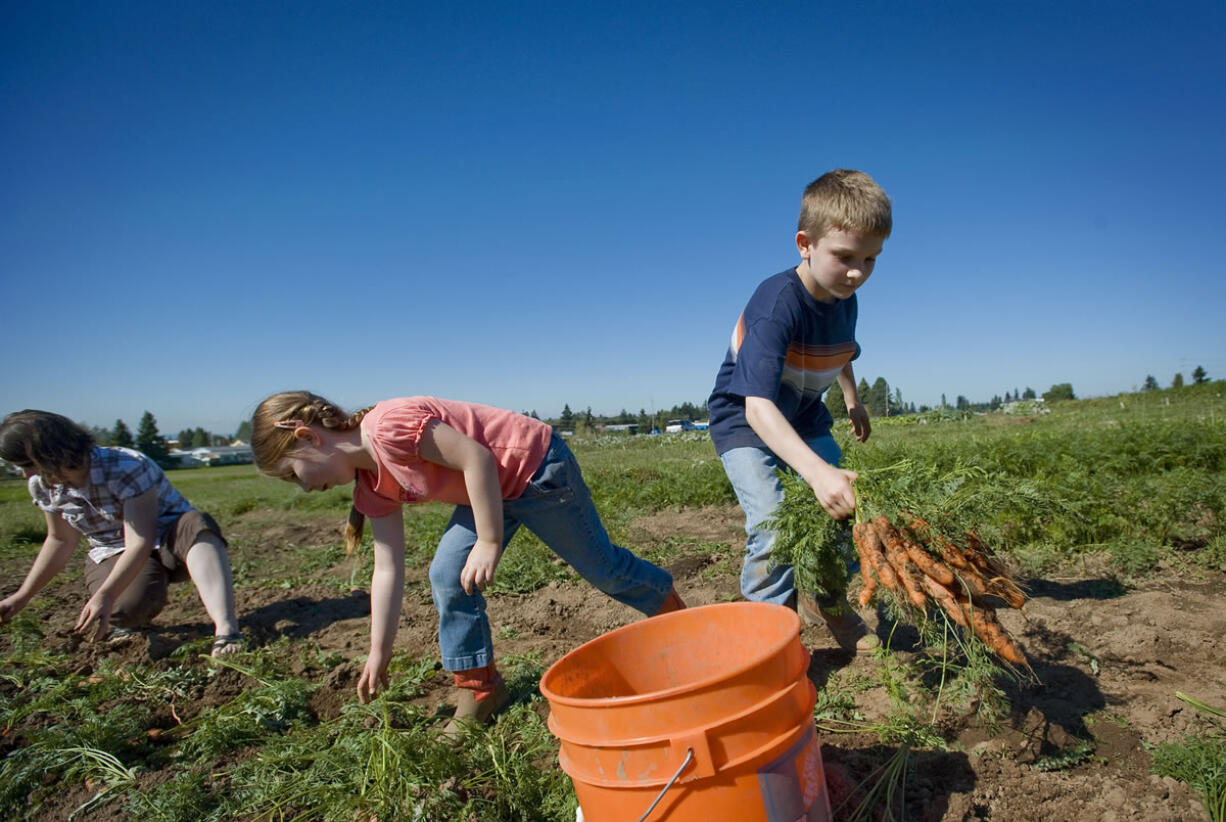 Harvest Fun Day runs 10 a.m. to 3 p.m. today at the Heritage Farm, 1919 N.E.