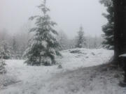 Residents woke up to about  1.5 inches of snow this morning near Amboy.