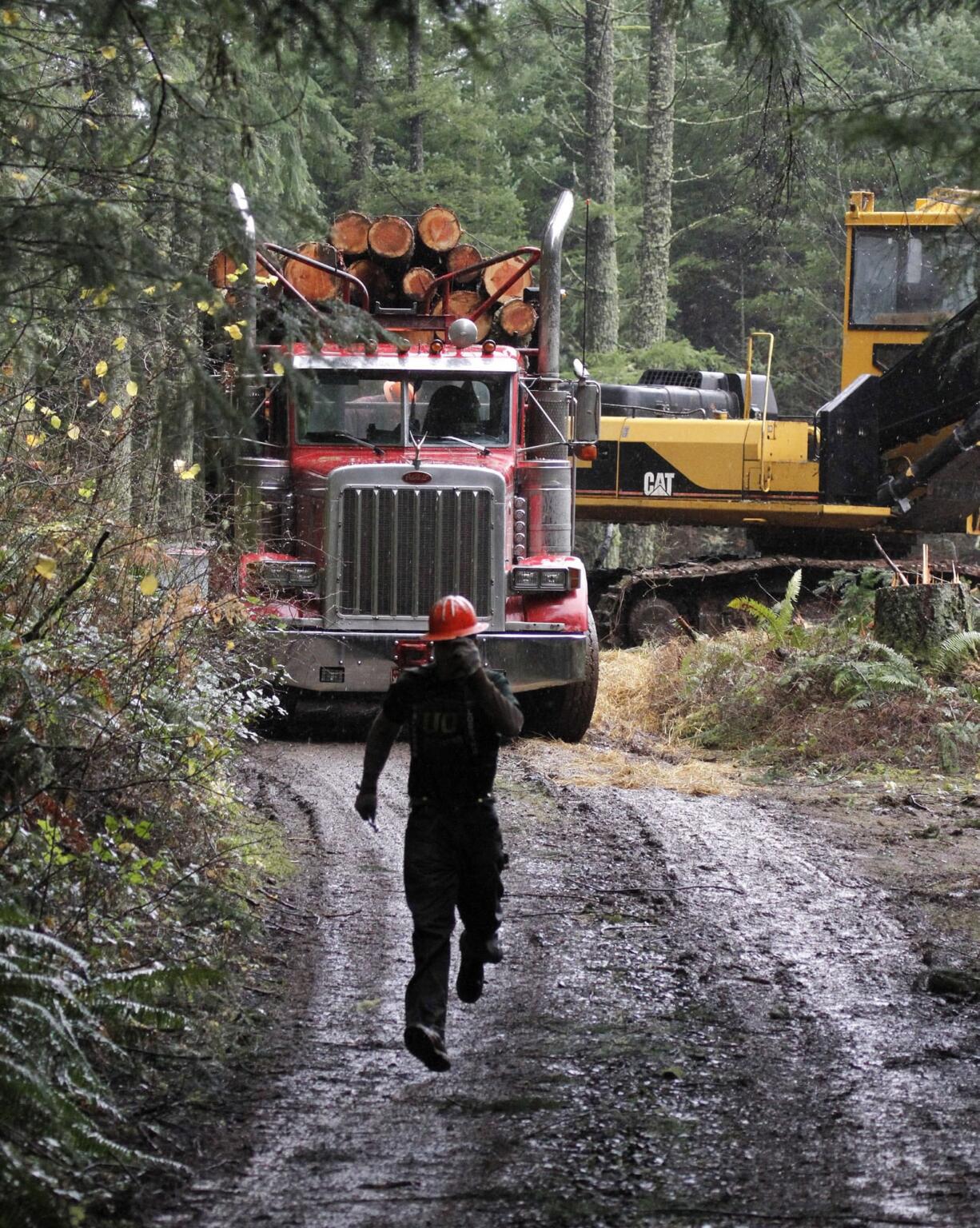 Logger Eric Davis runs down the road as a truck loaded with logs is readied in the forest near Banks, Ore. The U.S. Supreme Court ruled Wednesday that the U.S.