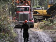 Logger Eric Davis runs down the road as a truck loaded with logs is readied in the forest near Banks, Ore. The U.S. Supreme Court ruled Wednesday that the U.S.