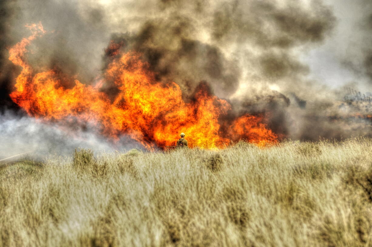 Files/Bureau of Land Management
Firefighters work the Long Draw Fire on July 11 near McDermitt, Ore. Snow and reseeding have begun to bring the green back to this landscape in far southeastern Oregon, where the Long Draw fire, the most extensive in Oregon history, burned across 870 square miles.