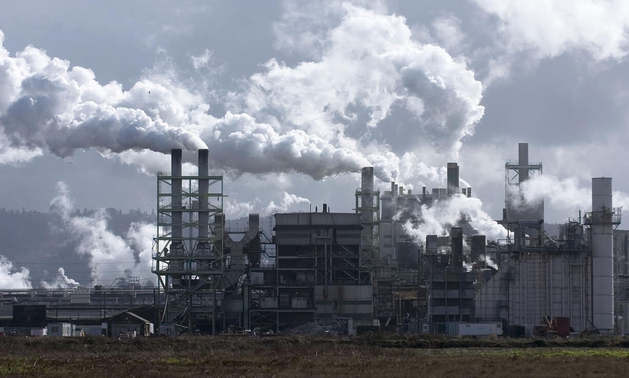 The Longview Fibre plant in Longview.