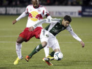 Portland Timbers midfielder Sal Zizzo, right, steals the ball away from New York Red Bulls forward Thierry Henry during the second half of an MLS soccer game in Portland, Ore., Sunday, March 3, 2013. The game ended in a 3-3 tie.