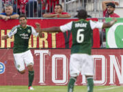 Portland Timbers' Sal Zizzo celebrates his goal with Darlington Nagbe in the Timbers' 2-2 tie against Toronto.