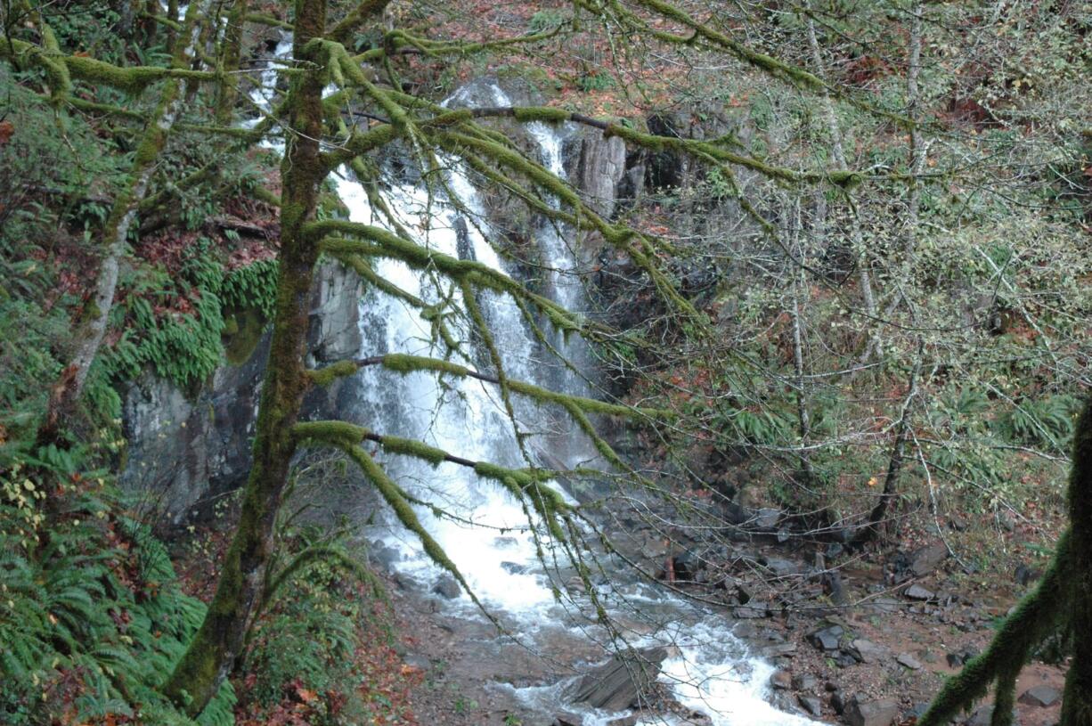 It is less than a half-mile walk to Marble Creek Falls, just upstream from Merwin Reservoir.