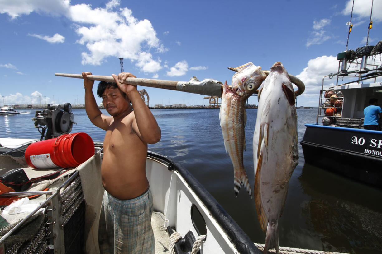 Placido Shim shows two fish he gaffed that were floating past his boat after a leaky pipe caused more than 230,000 gallons of molasses to ooze into the harbor and kill marine life.