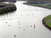 Multnomah Channel of the Willamette River flows on the west side of Sauvie Island and is a popular spot for spring chinook salmon fishing.