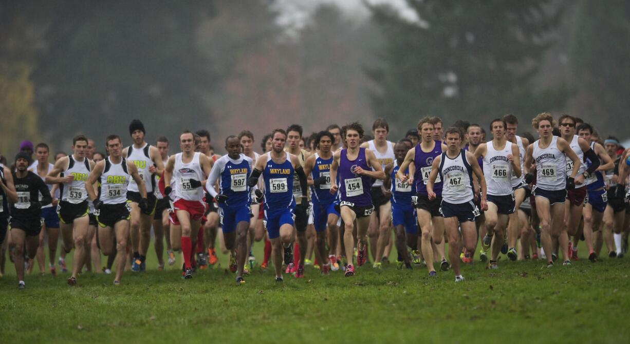 Runners take off at the starting gun for the men's race at the NAIA Cross Country National Championships on Saturday, Nov.