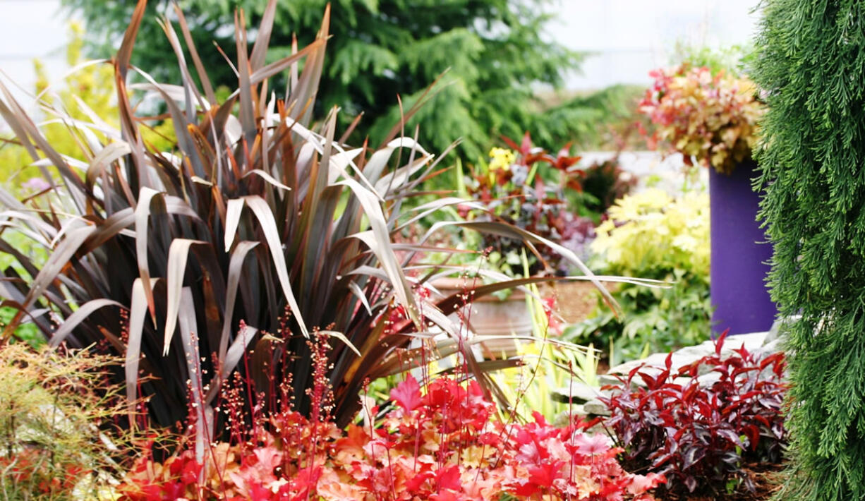 Robb Rosser
Make a list when shopping for plants but always leave room for spontaneity. 
 At left, New Zealand Flax and Purple Pot.