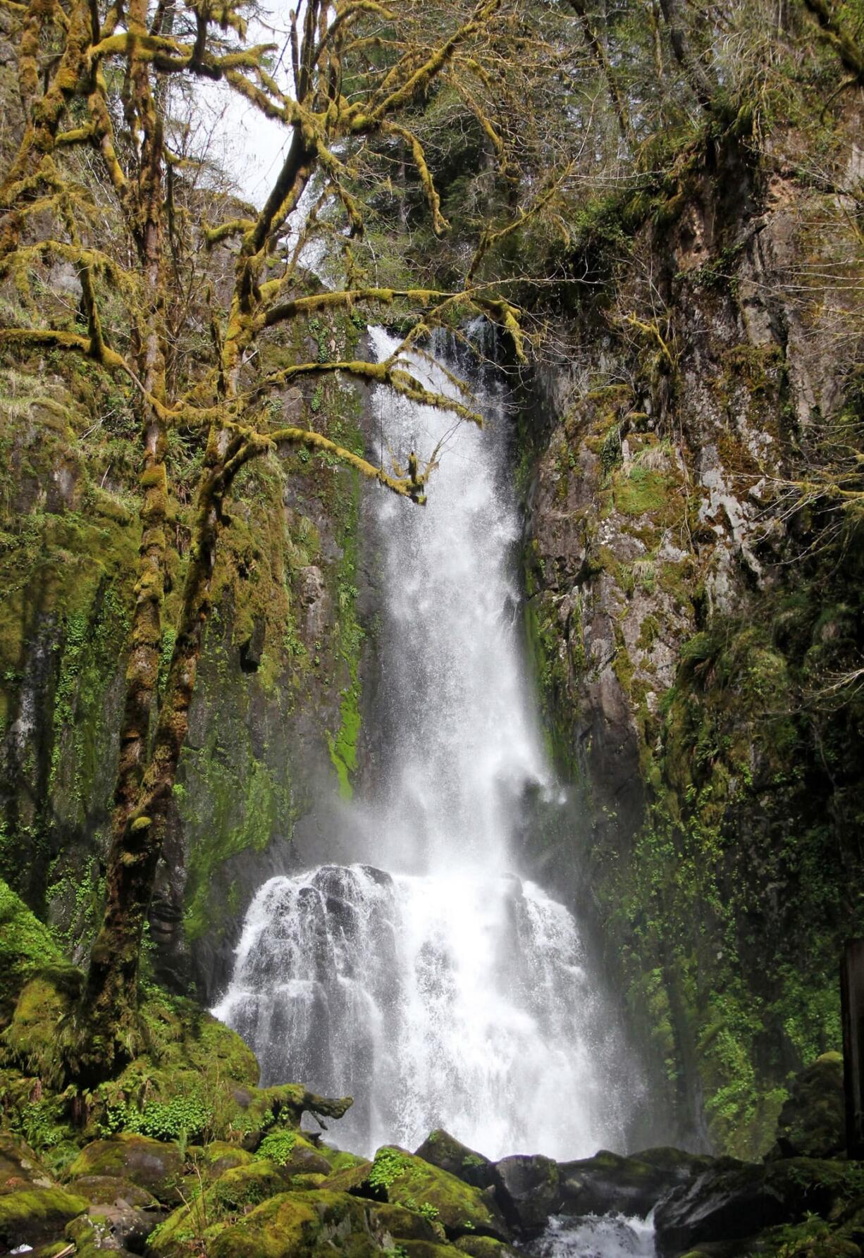 Lower Kentucky Falls crashes more than 100 feet in the Siuslaw National Forest near Florence, Ore.