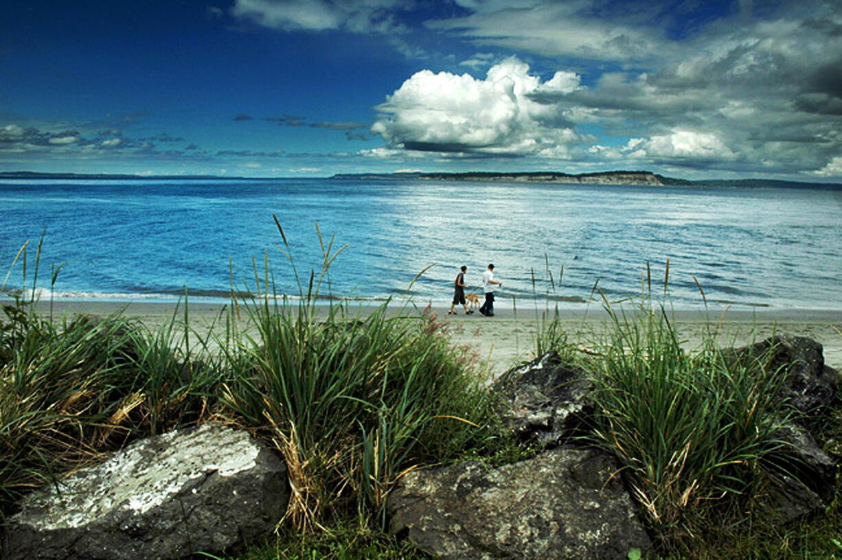 People walk through the grass and over beached logs to reach the sand -- perfect for castles or picnics -- at Point No Point Park.