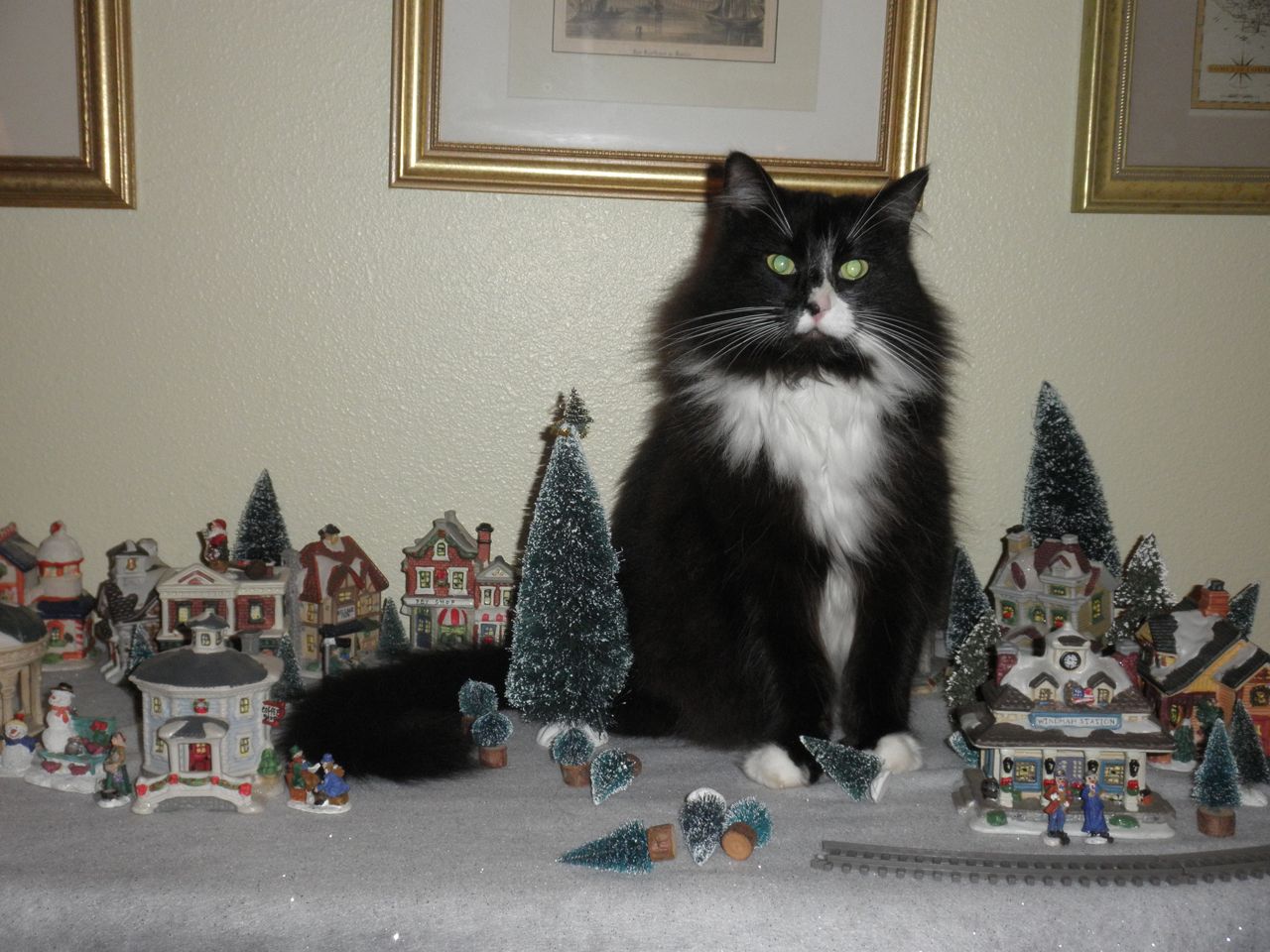 Our cat Maya likes to play the Godzilla of the Christmas village. For some reason, she loves sitting in the middle of town.