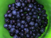 Ripe blueberries pile up inside a bucket in the pick-your-own field at Foxbrier Farm in Chattahoochee Hill Country, Ga.