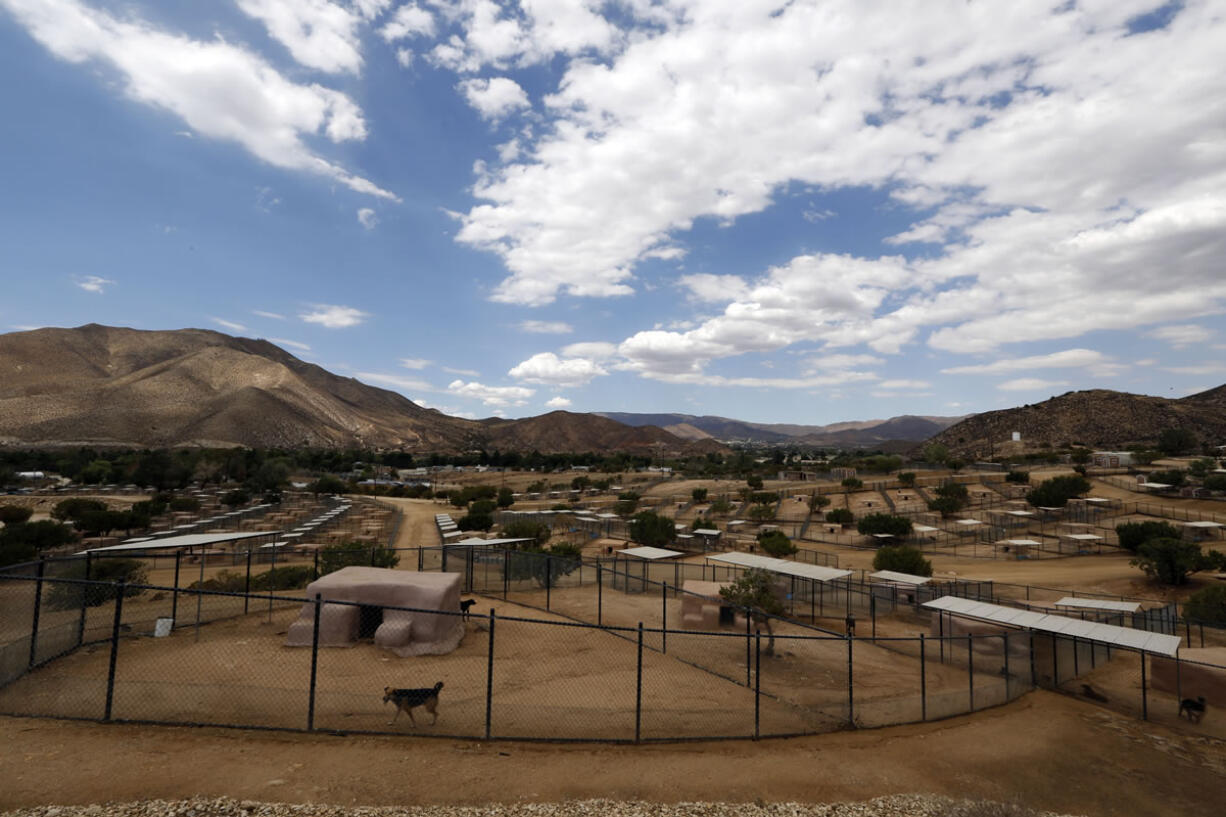 Leo Grillo's DELTA (Dedication &amp; Everlasting Love to Animals) Rescue complex in Acton, Calif.