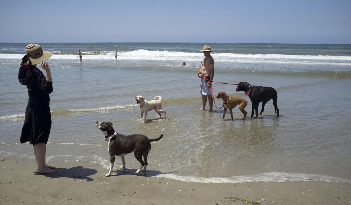 Dogs and their owners play in May at the Huntington Dog Beach in Huntington Beach, Calif., also known as Surf City USA.