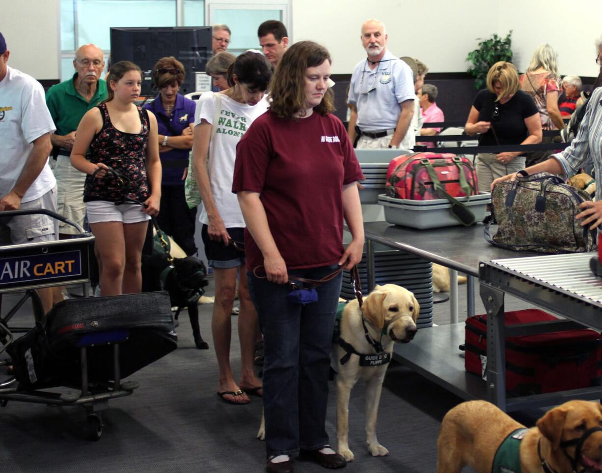 Members and volunteers from Guide Dogs for the Blind wait in line at a mock TSA screening at the Air Hollywood K9 flight school in Los Angeles.