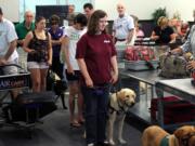 Members and volunteers from Guide Dogs for the Blind wait in line at a mock TSA screening at the Air Hollywood K9 flight school in Los Angeles.