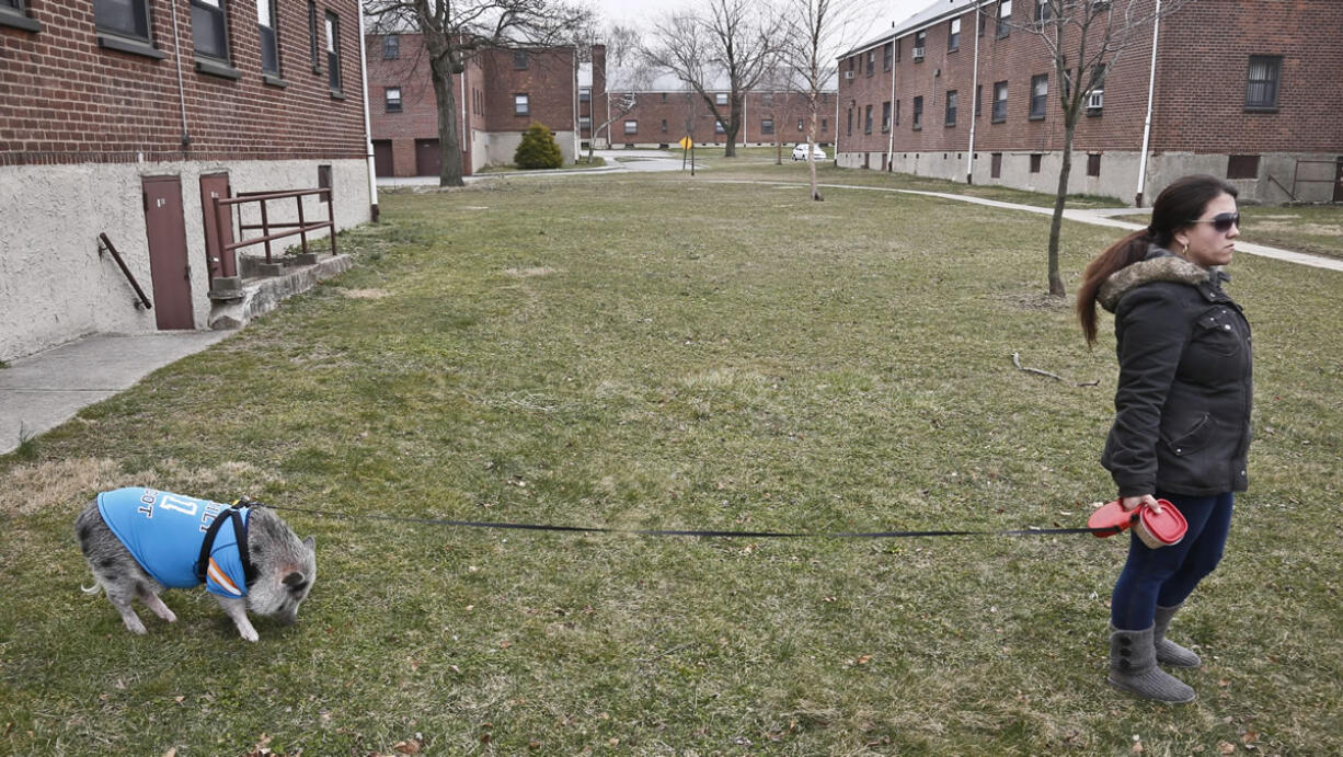 Danielle Forgione walks Petey in Queens, N.Y.