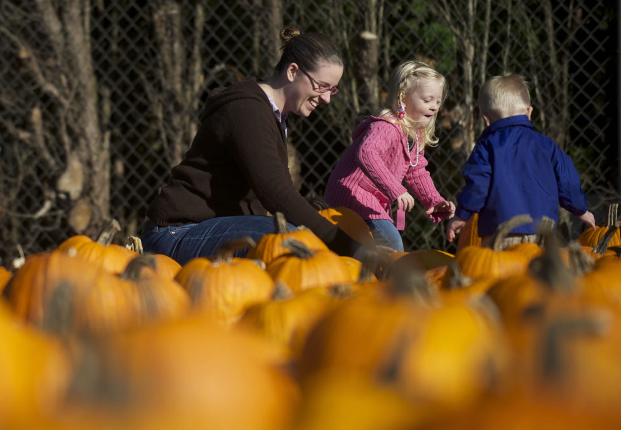 A family enjoys a fall trip to the pumpkin patch at Velvet Acres Gardens in Vancouver.