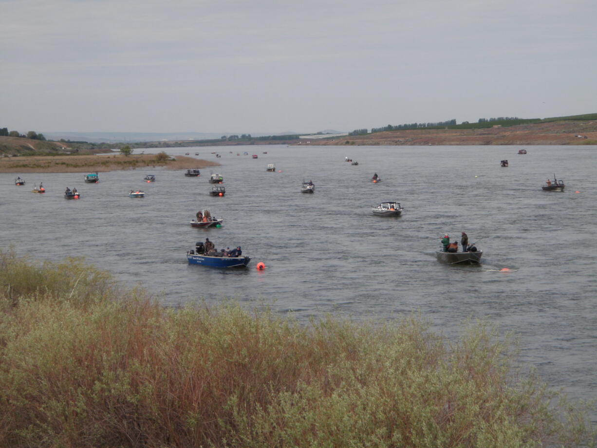 Anglers anchor for spring chinook salmon in the lower Snake River downstream of Ice Harbor Dam.