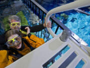 Head dive officer Gavin Wuttken, rear, helps Tacoma News Tribune reporter Stacia Glenn into shark-infested waters Thursday at the Point Defiance Zoo &amp; Aquarium as she got an up-close and personal view of sharks during a underwater cage dive, part of the zoo's new &quot;Eye-To-Eye Shark Dive&quot; adventure.