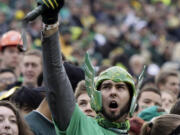 An Oregon fan cheers during the first half of an NCAA college football game against UCLA in Eugene, Ore., Saturday, Oct. 26, 2013.