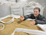 Skagit Valley Malting founder Wayne Carpenter checks out barley Dec 10 in Burlington, part of the summer&#039;s crop from Skagit Valley farmer Kraig Knutzen. Originally conceived in collaboration with the Port of Skagit to increase the value of local grain, Skagit Valley Malting is malting and germinating grains no one else can.