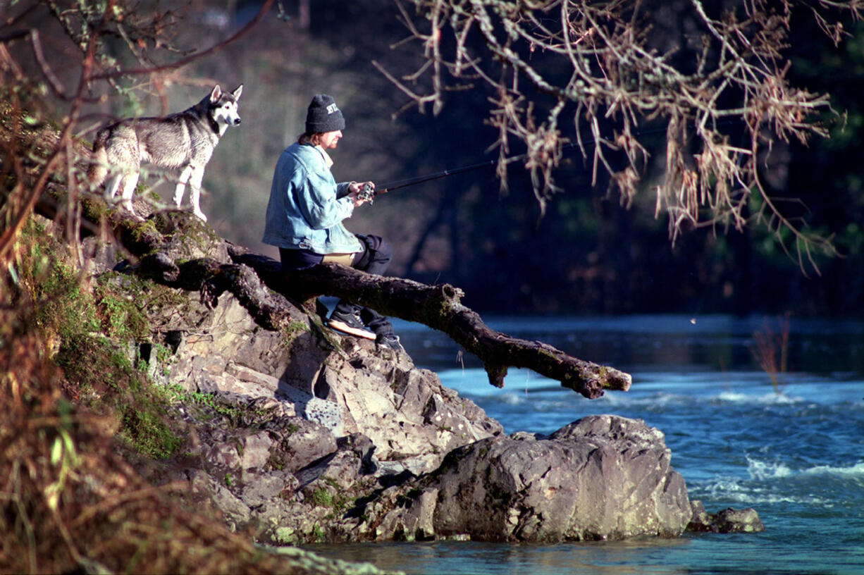 The Washougal River, or at least portions of it, are under consideration as a wild steelhead gene bank.