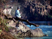 The Washougal River, or at least portions of it, are under consideration as a wild steelhead gene bank.