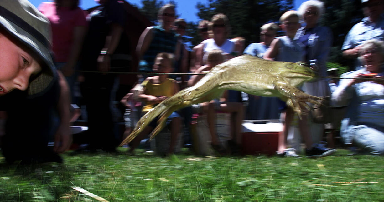 Woodland Planters Days' events include the 45th Annual Frog Jump.