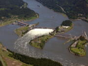 State and federal officials are working to stop an oil leak at Bonneville Dam that's putting an estimated one to two tablespoons of oil per day into the Columbia River.