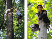 Kutlu Birinci, left, and Antonis Tilliros, both 17, do some high-altitude trust-building last month in an Oregon forest.