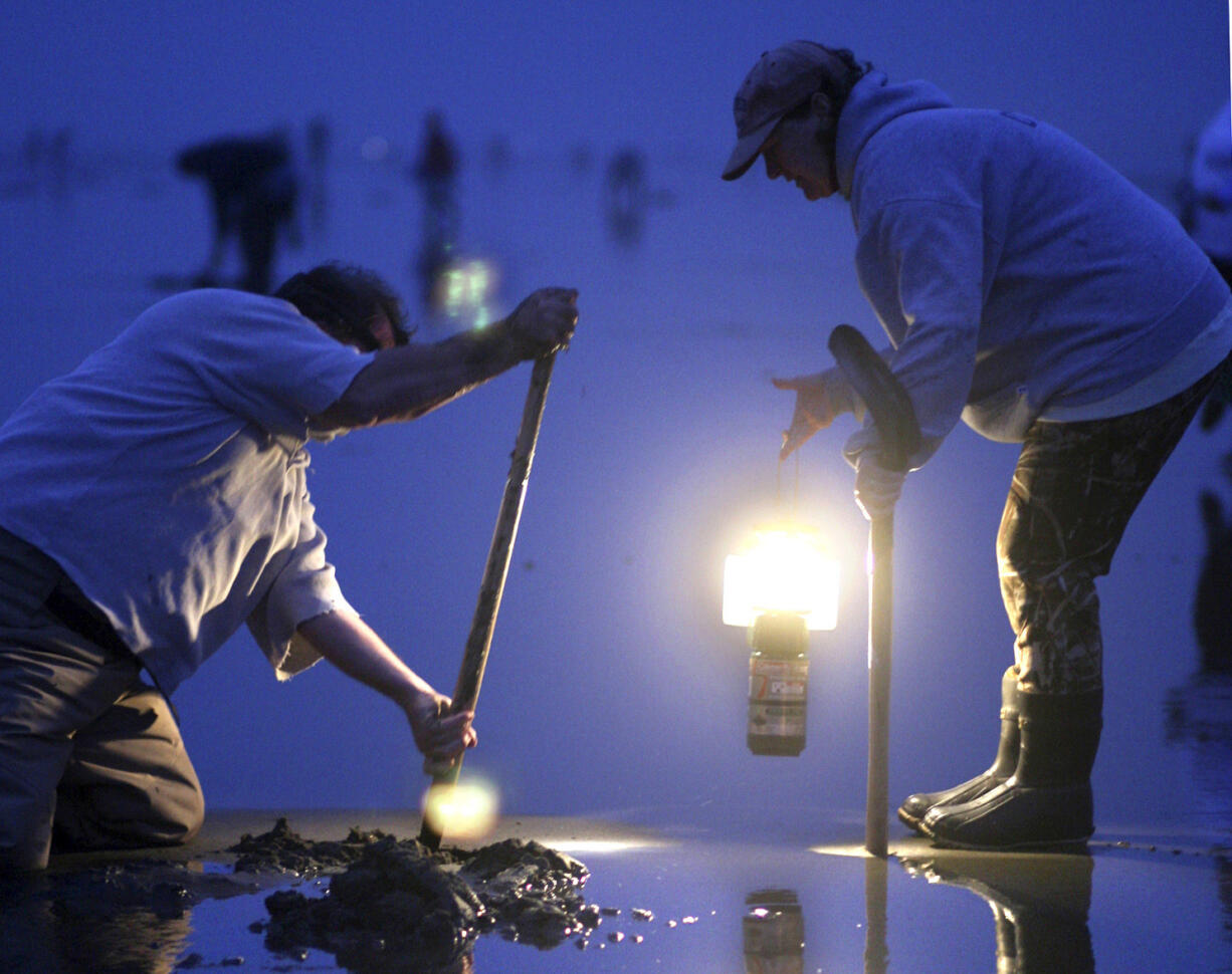 Low tide this weekend will be in the afternoon, allowing for daylight clam digging.