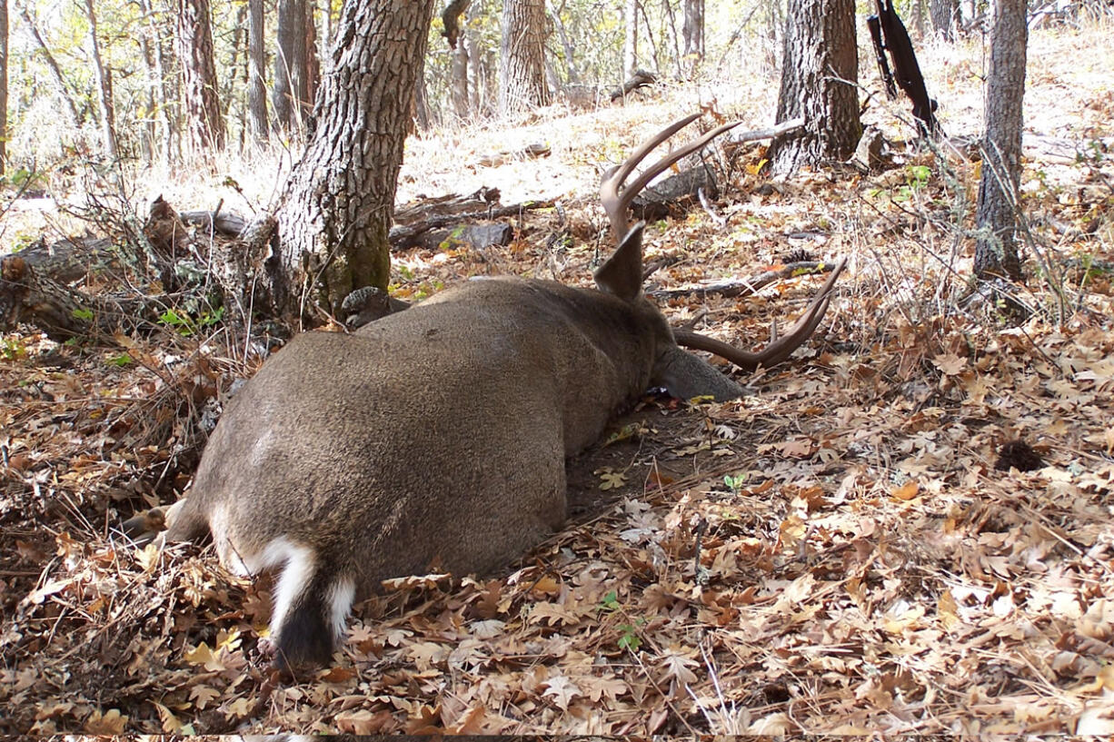 Hunting familiar terrain often helps improve success.