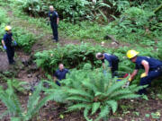 Fire crews work during the rescue of a 13-year-old who suffered head injuries when he fell from a rope swing in a heavily forested canyon near Camas.